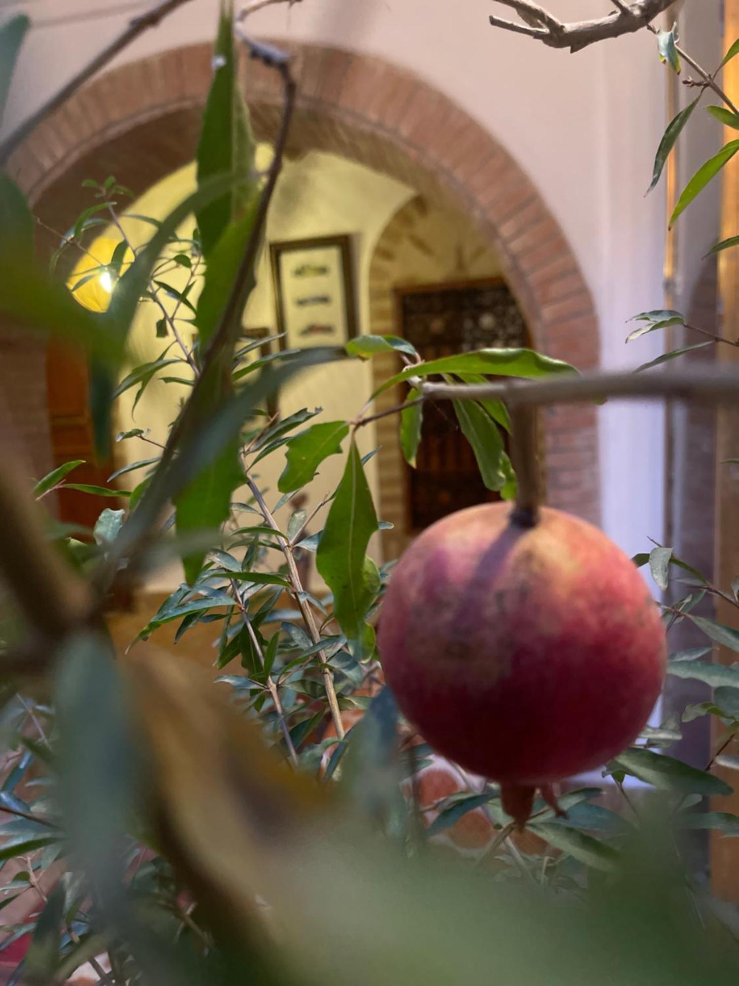 La Maison Berber Shams Marrakesh Bagian luar foto